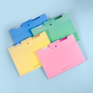 Expanding File Organizer with 5 Pockets