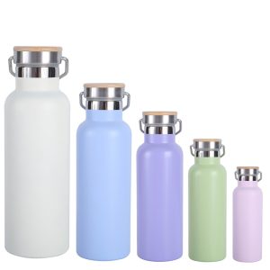 Vacuum Insulated Stainless Steel Water Bottle