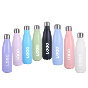 Insulated Stainless Steel Water Bottle 17oz