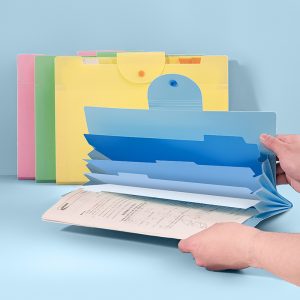 12 Pockets File Organizer