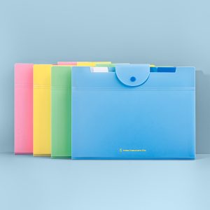 Expanding File Organizer with 8 Pockets