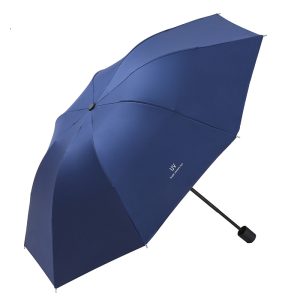 Portable Umbrellas for Travel