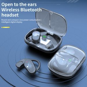 Transparent TWS 5.3 Bluetooth Wireless Earbuds