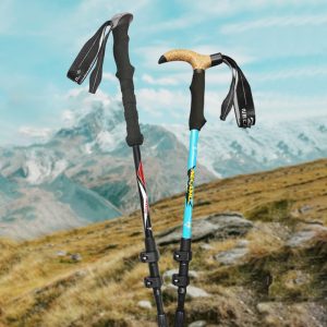Travel Folding Trekking Hiking Pole