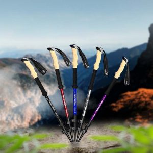Walking Sticks