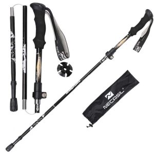 Folding Cane
