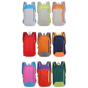 Lightweight Casual Travel Backpack